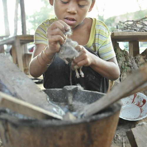 A child skins a rat to prepare for his next meal