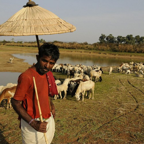 Andhra Pradesh, India