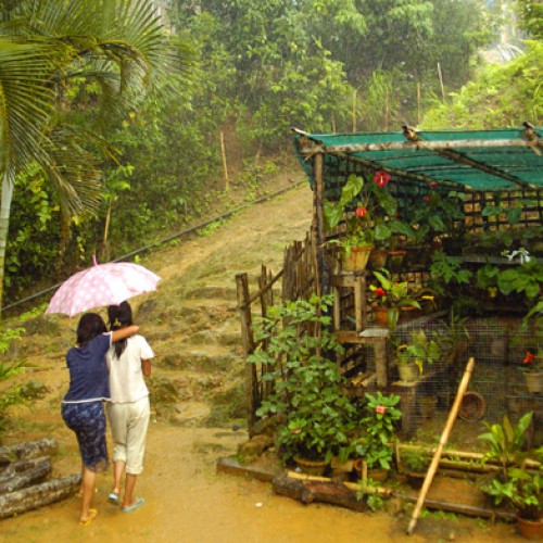 Yimjenkimong Village, Nagaland, India