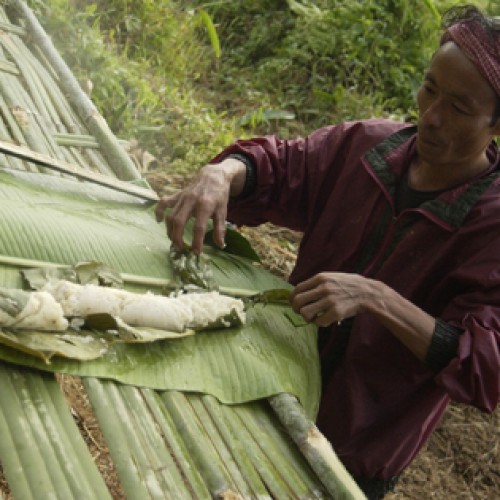 Nagaland, India