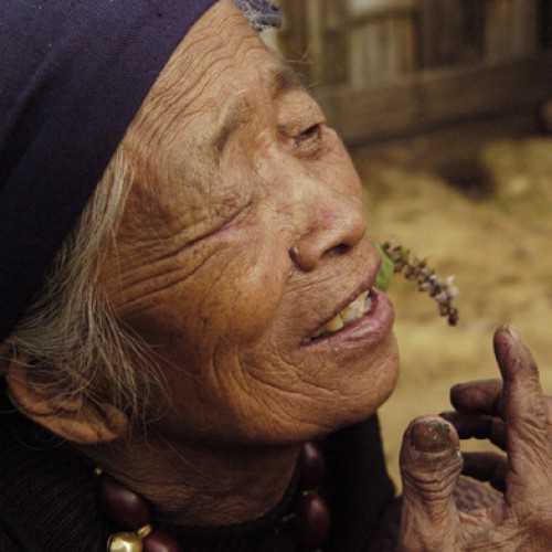 Yimjenkimong Village, Nagaland, India