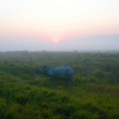 Assam, India