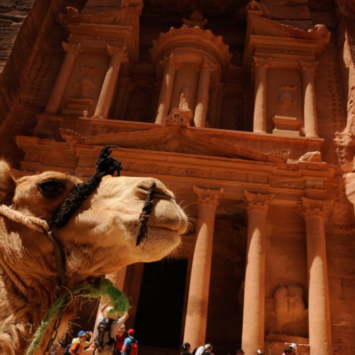 The Treasury - Petra, Jordan