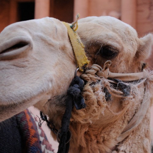 Petra, Jordan