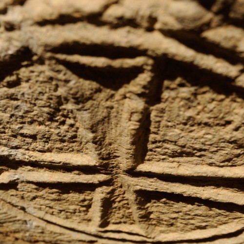 Atop Mount Nebo, Jordan