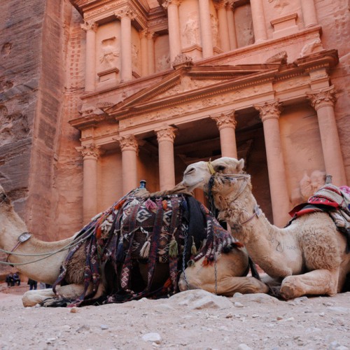 The Treasury - Petra, Jordan